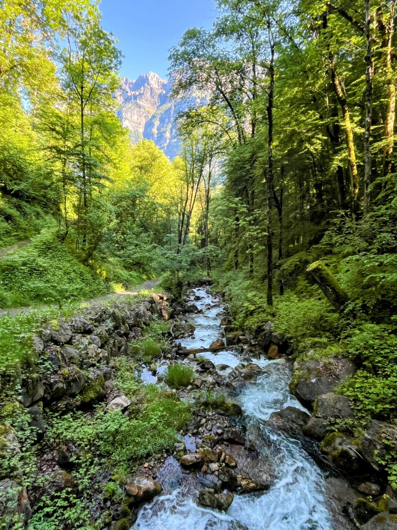 wanderung_unterterzen_tannenboden_