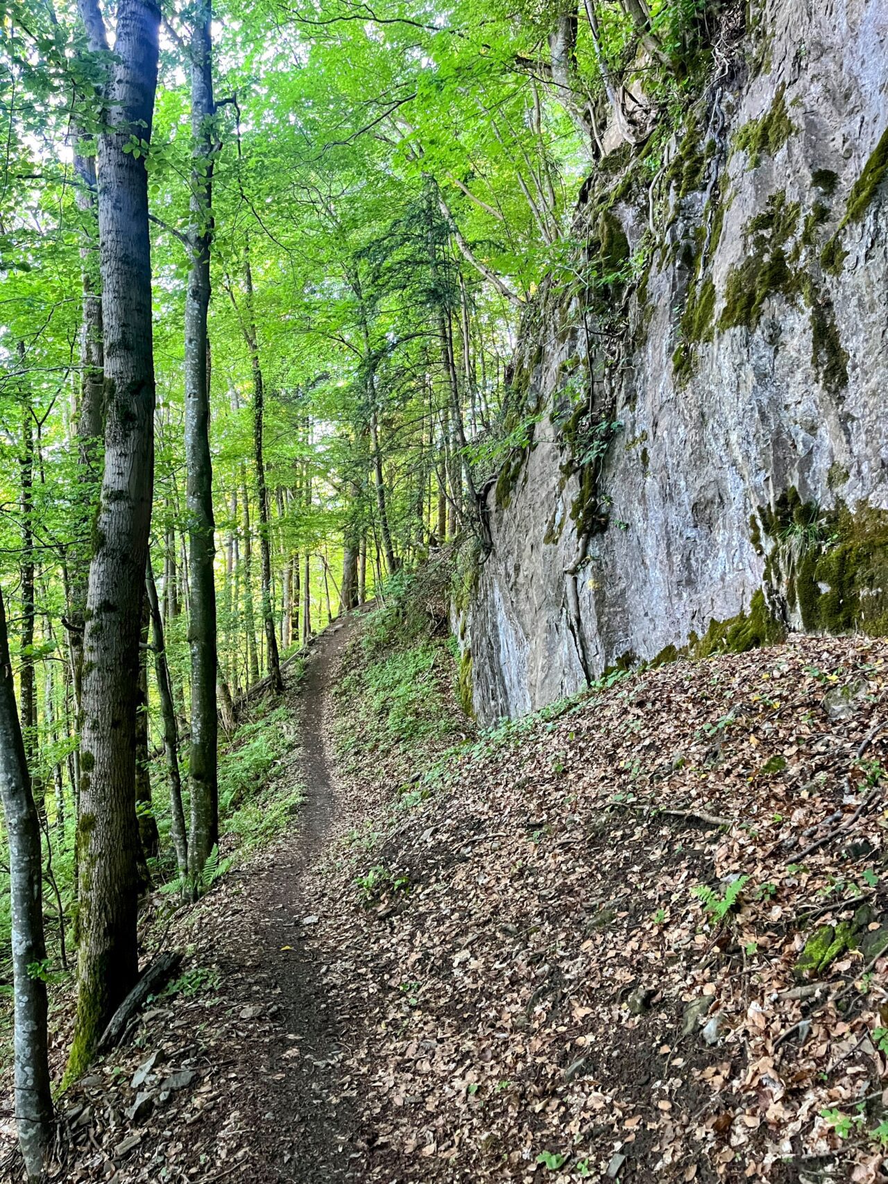 wanderung_unterterzen_tannenboden_