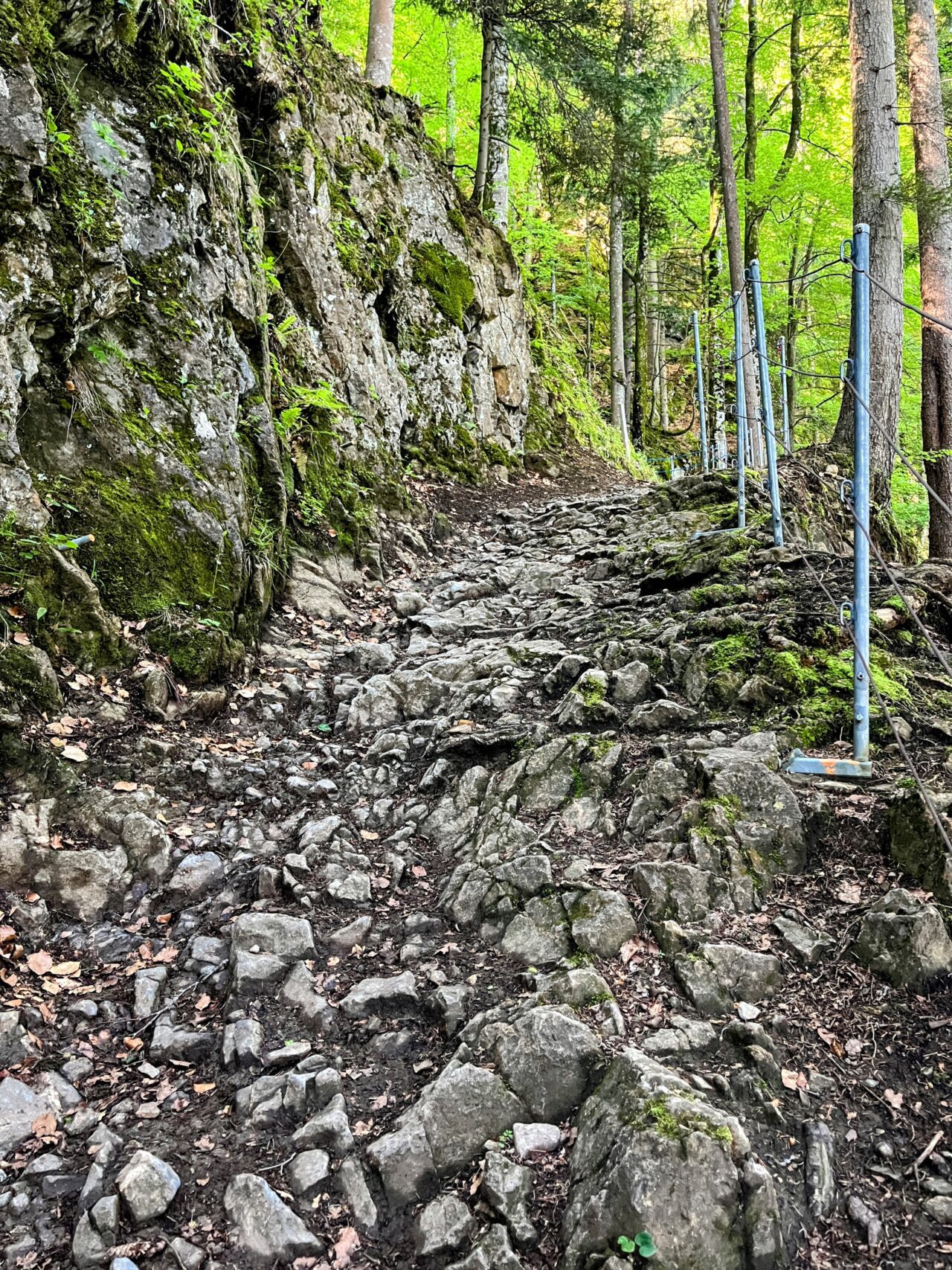 wanderung_unterterzen_tannenboden_