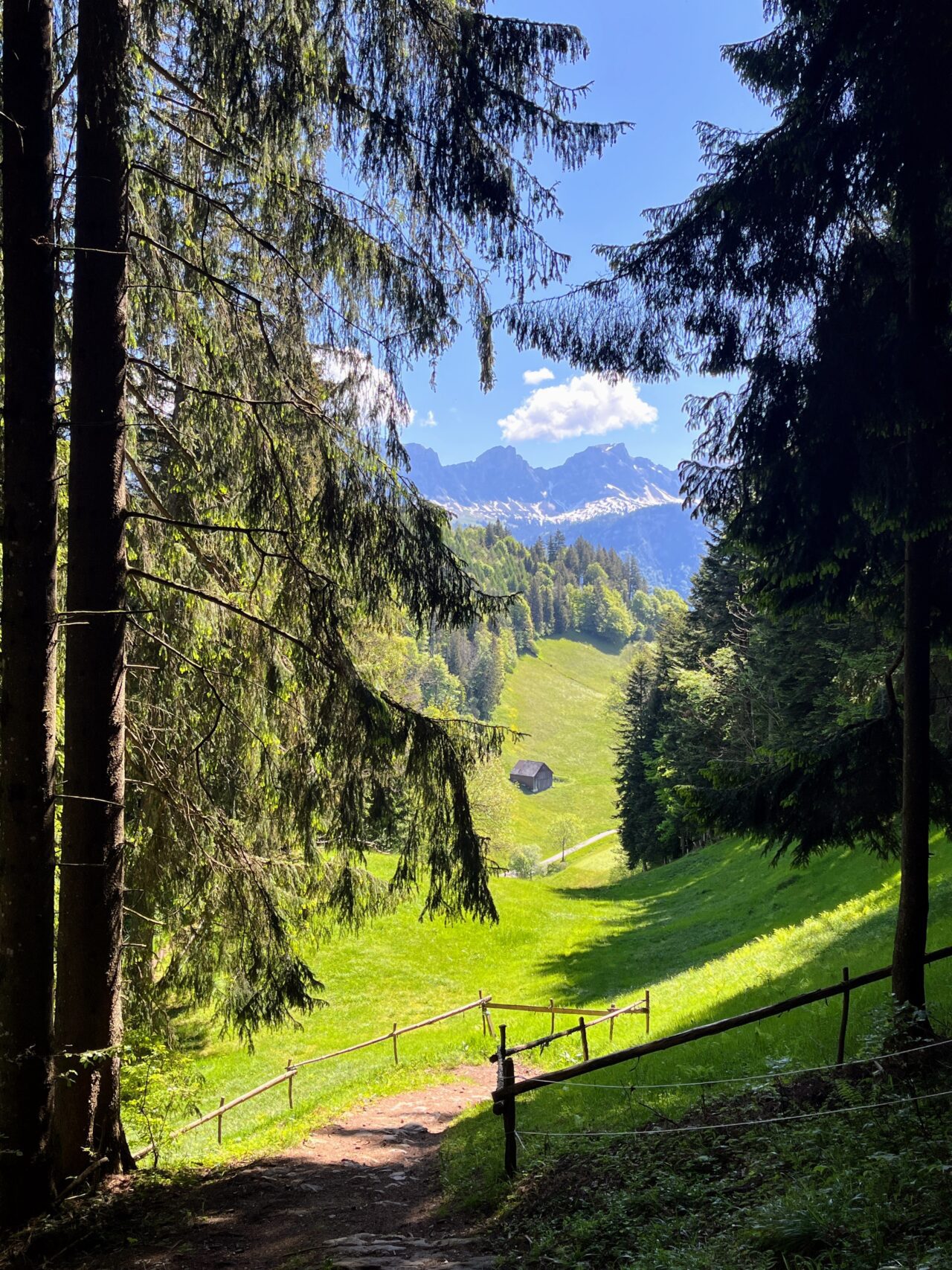 wanderung_unterterzen_tannenboden_