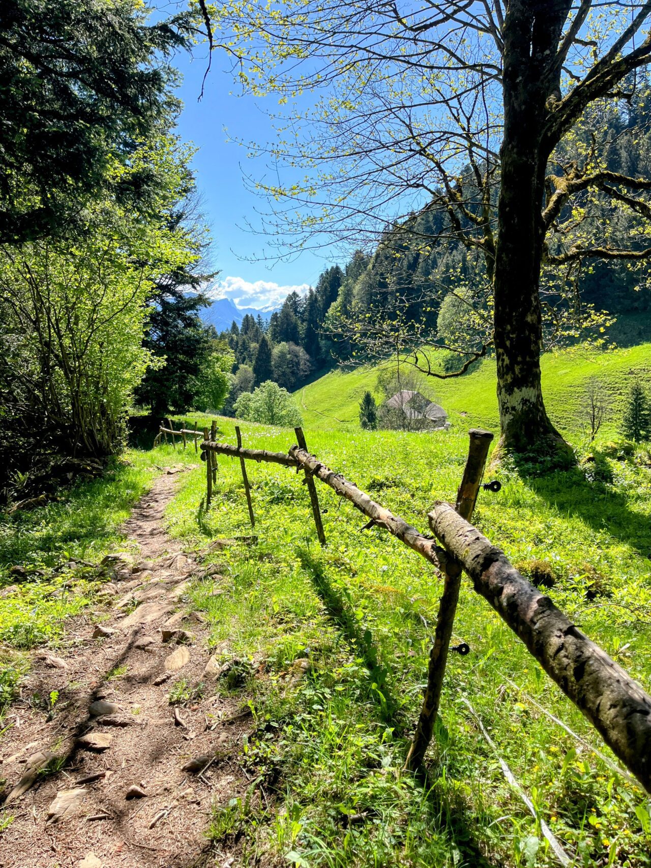 wanderung_unterterzen_tannenboden_