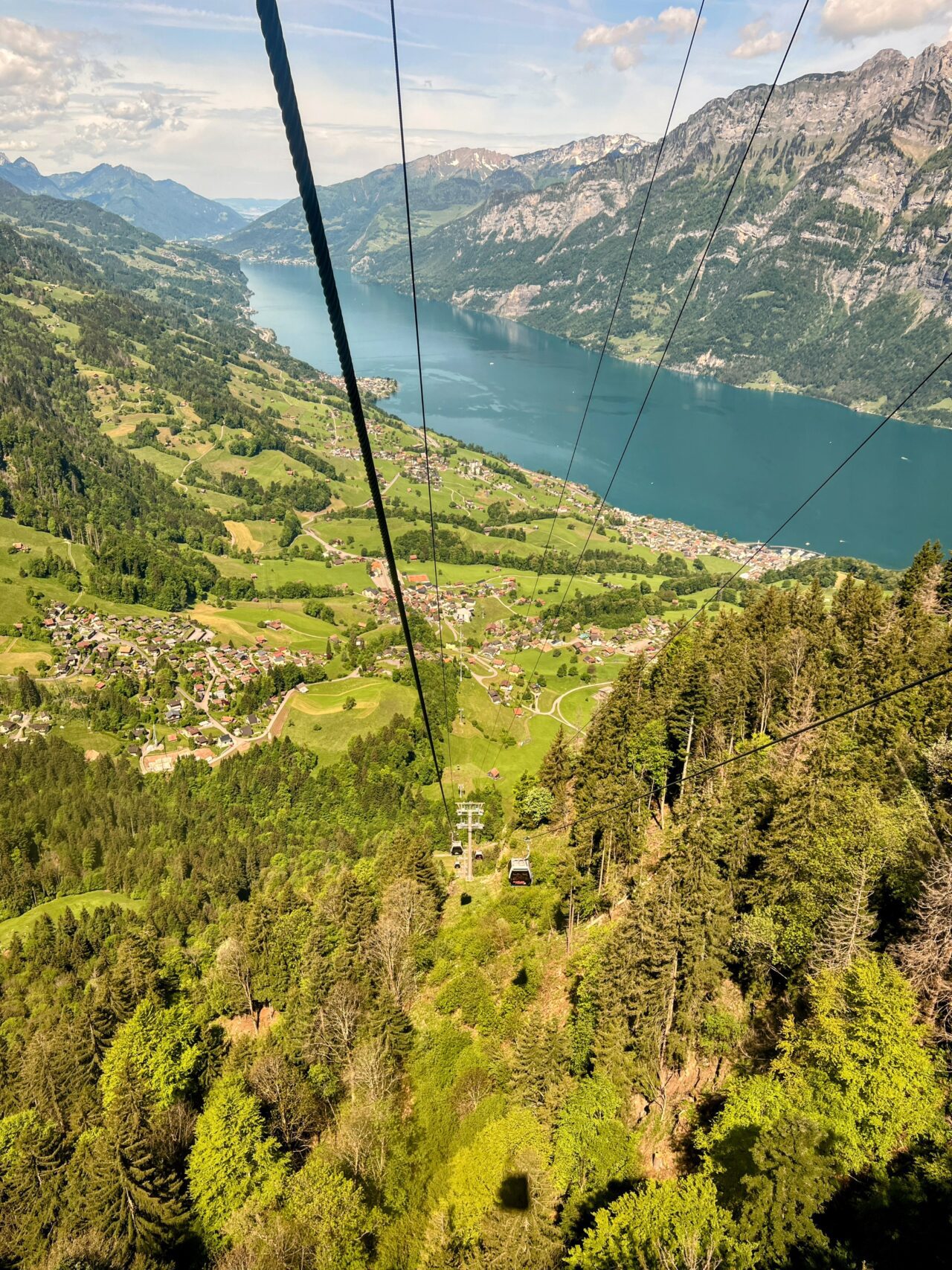 wanderung_unterterzen_tannenboden_