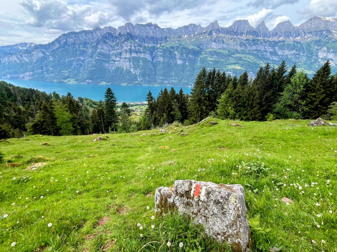 wanderung_unterterzen_tannenboden_