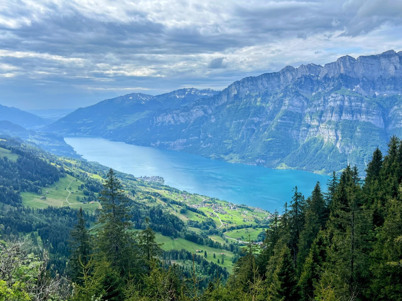 wanderung_unterterzen_tannenboden_