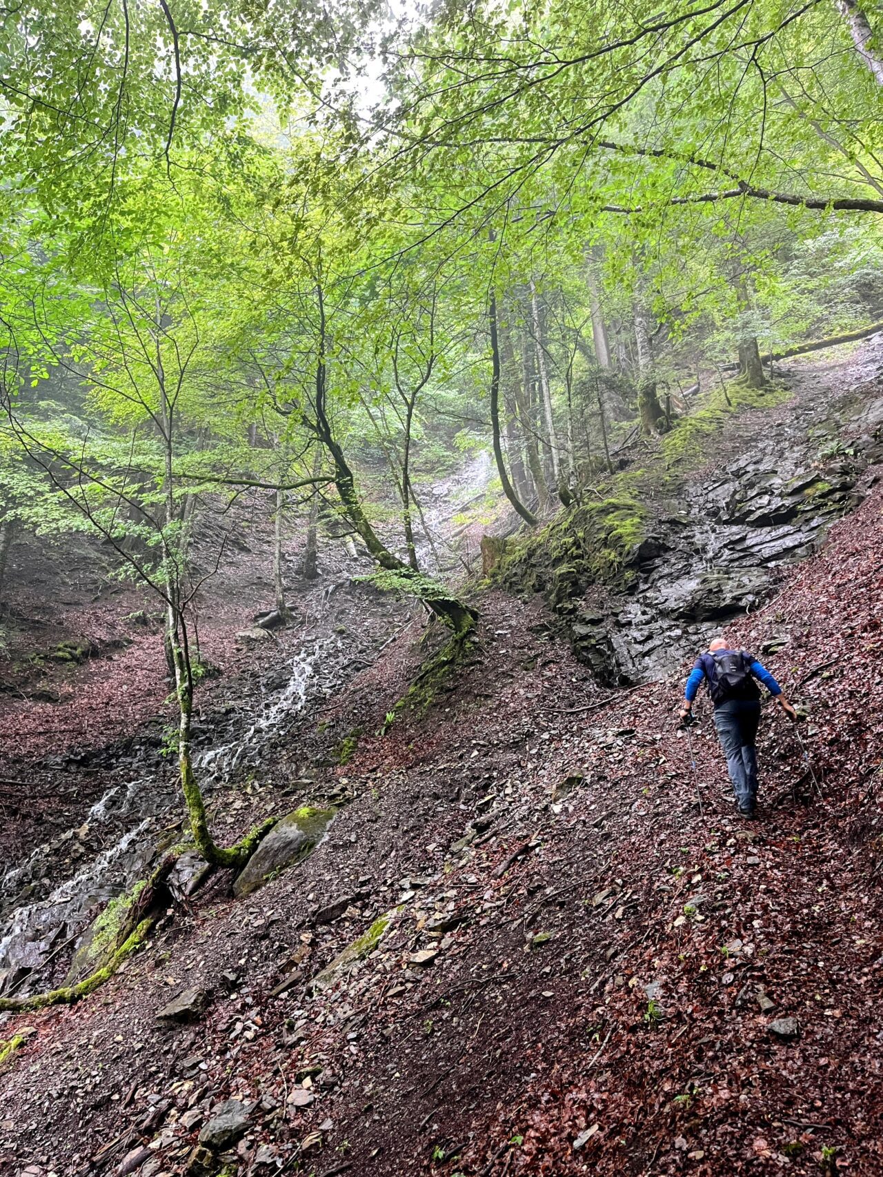 wanderung_hintere_unteriberig_stoos_fronalpstock_