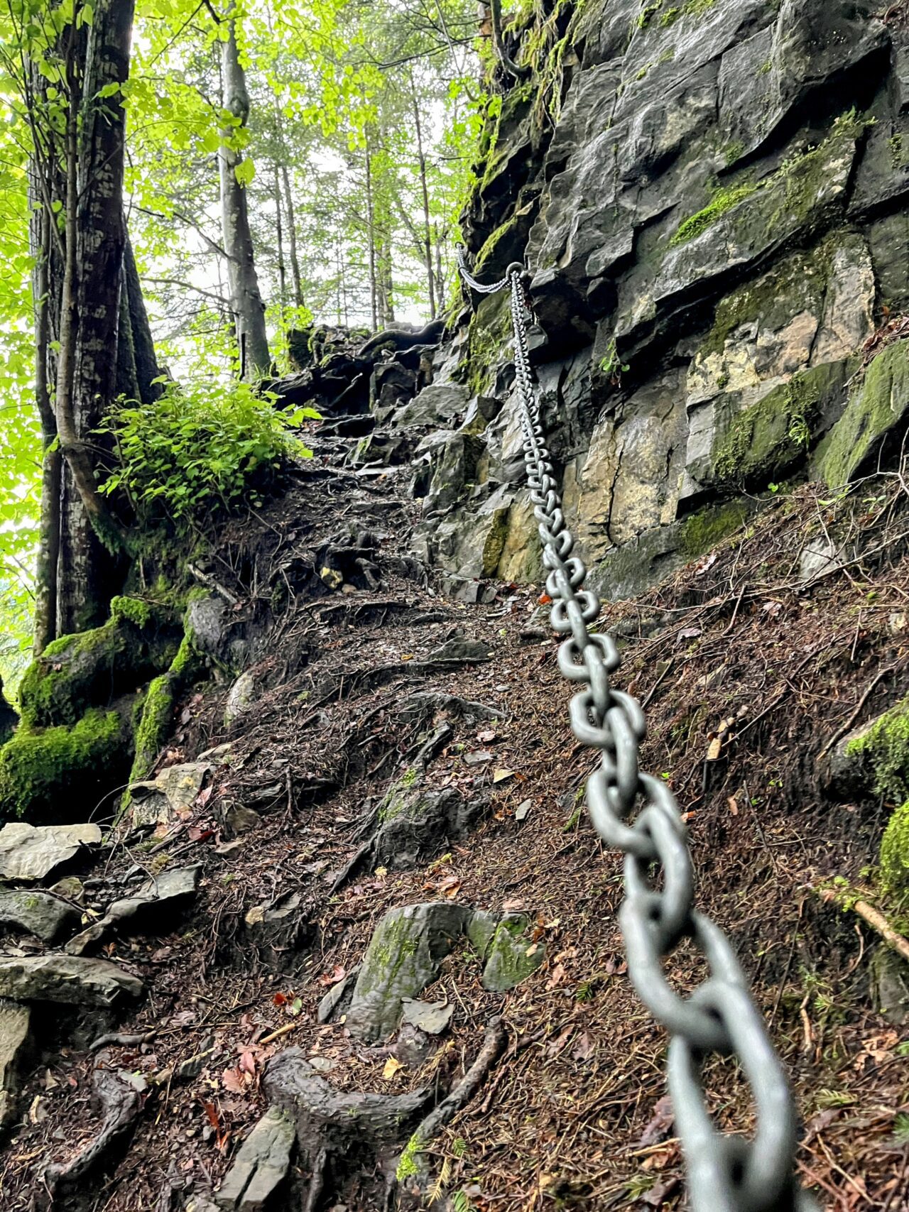 wanderung_hintere_unteriberig_stoos_fronalpstock_