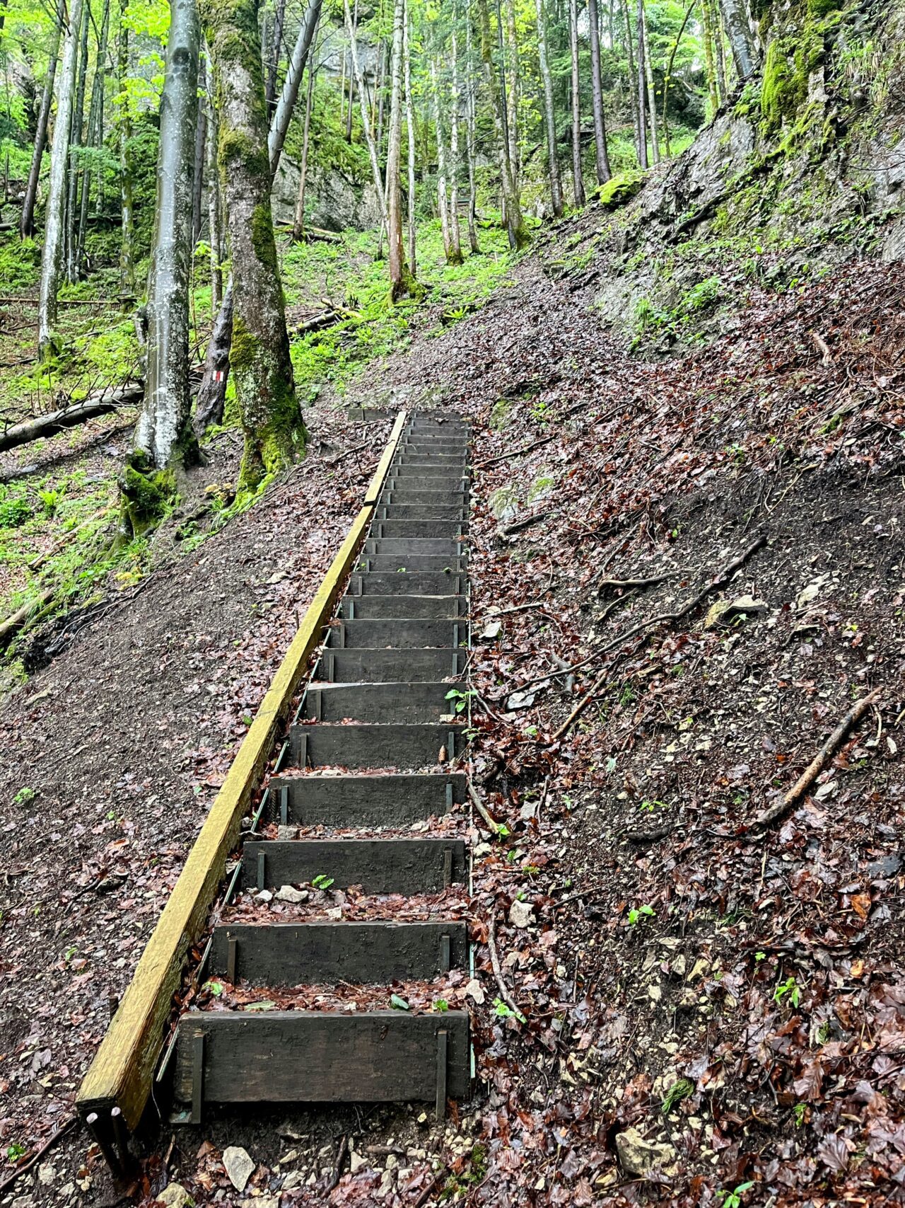 wanderung_hintere_unteriberig_stoos_fronalpstock_