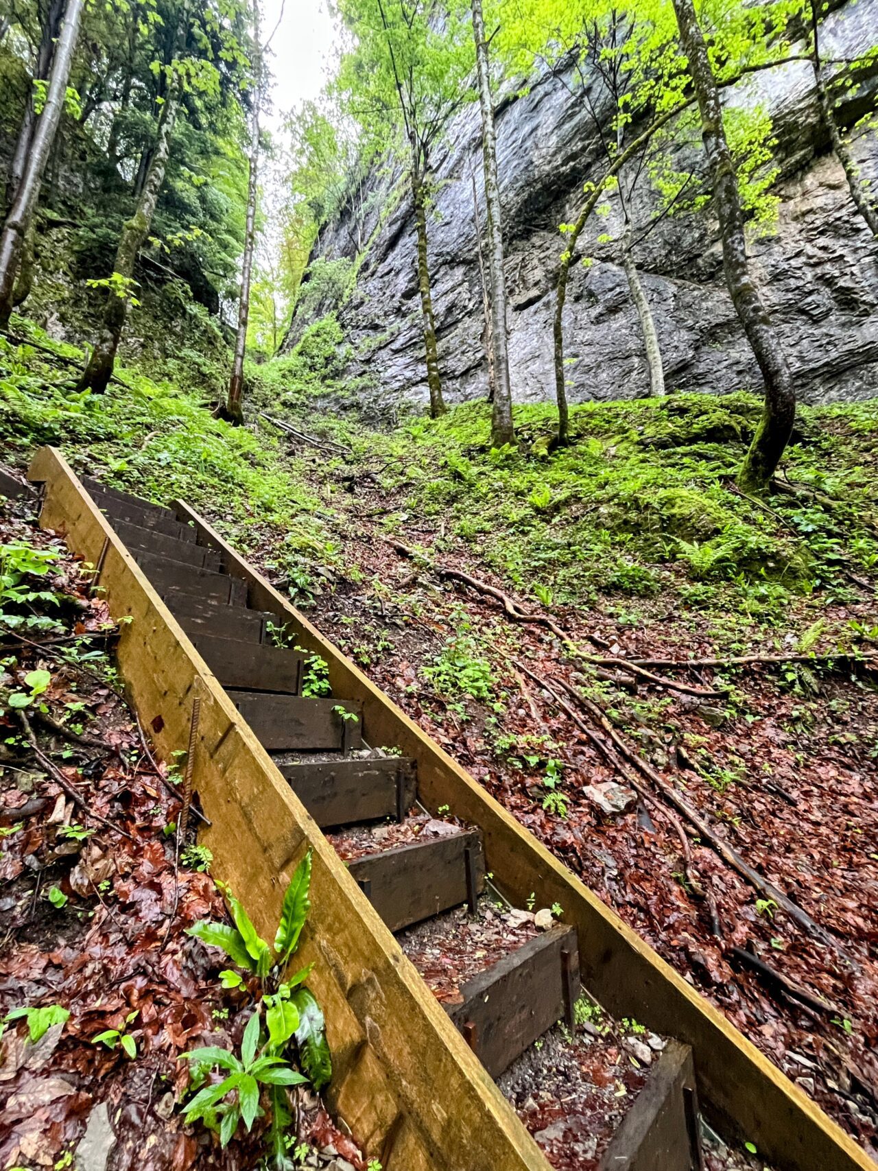 wanderung_hintere_unteriberig_stoos_fronalpstock_