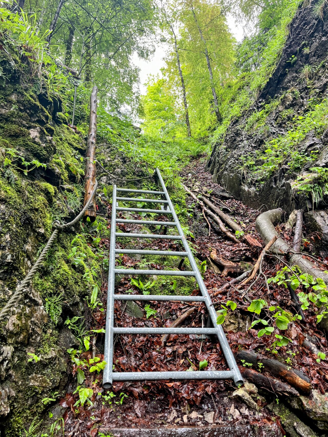 wanderung_hintere_unteriberig_stoos_fronalpstock_