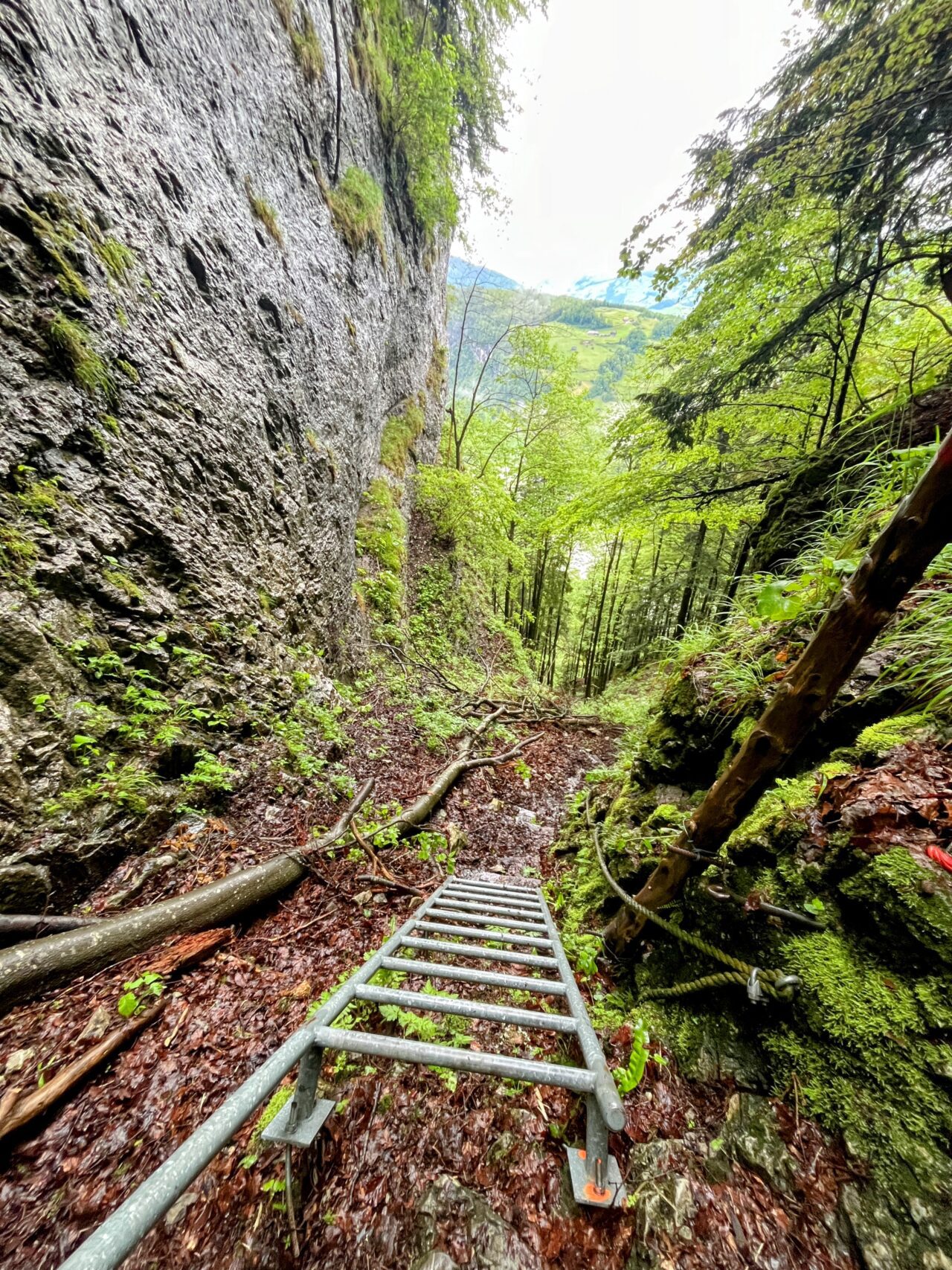 wanderung_hintere_unteriberig_stoos_fronalpstock_