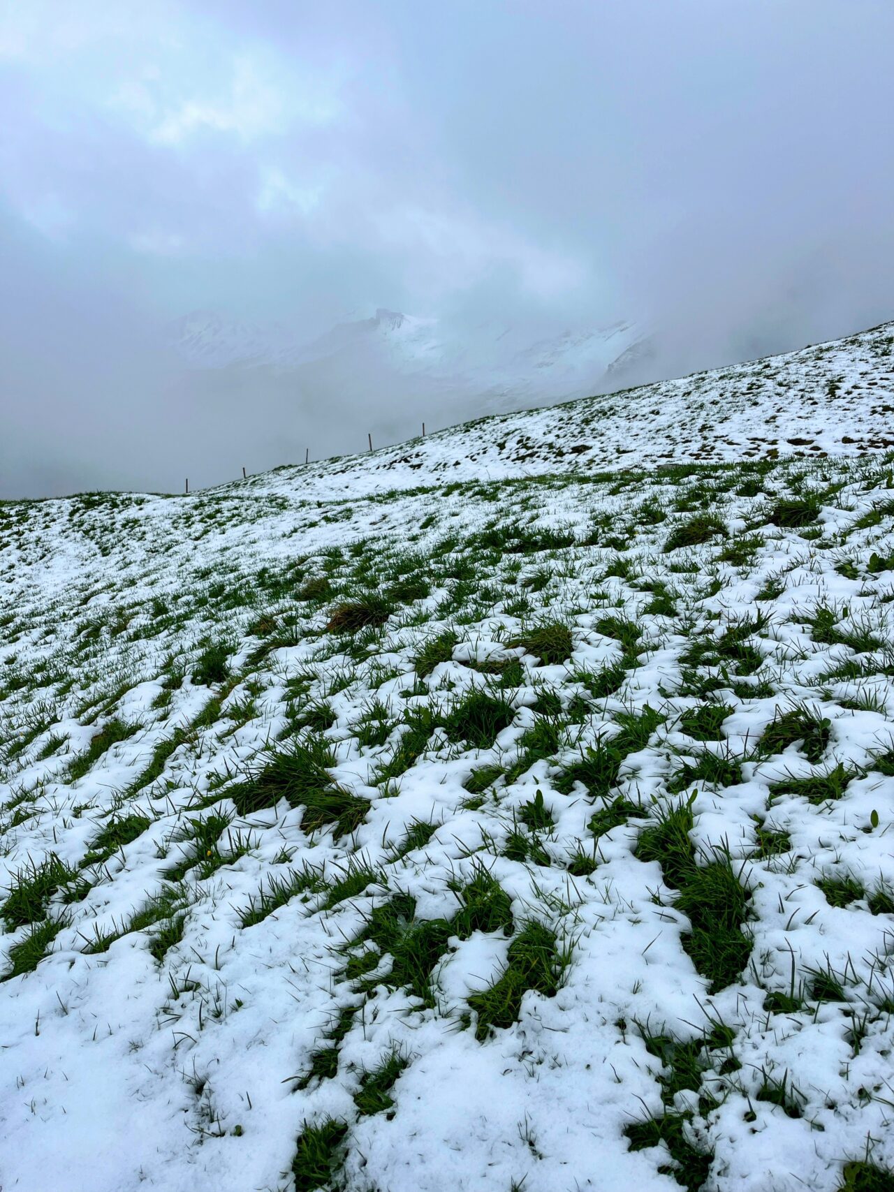 wanderung_hintere_unteriberig_stoos_fronalpstock_