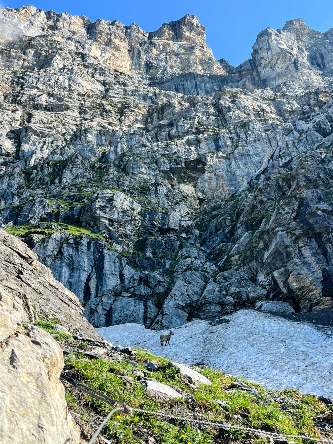 tälli_klettersteig_