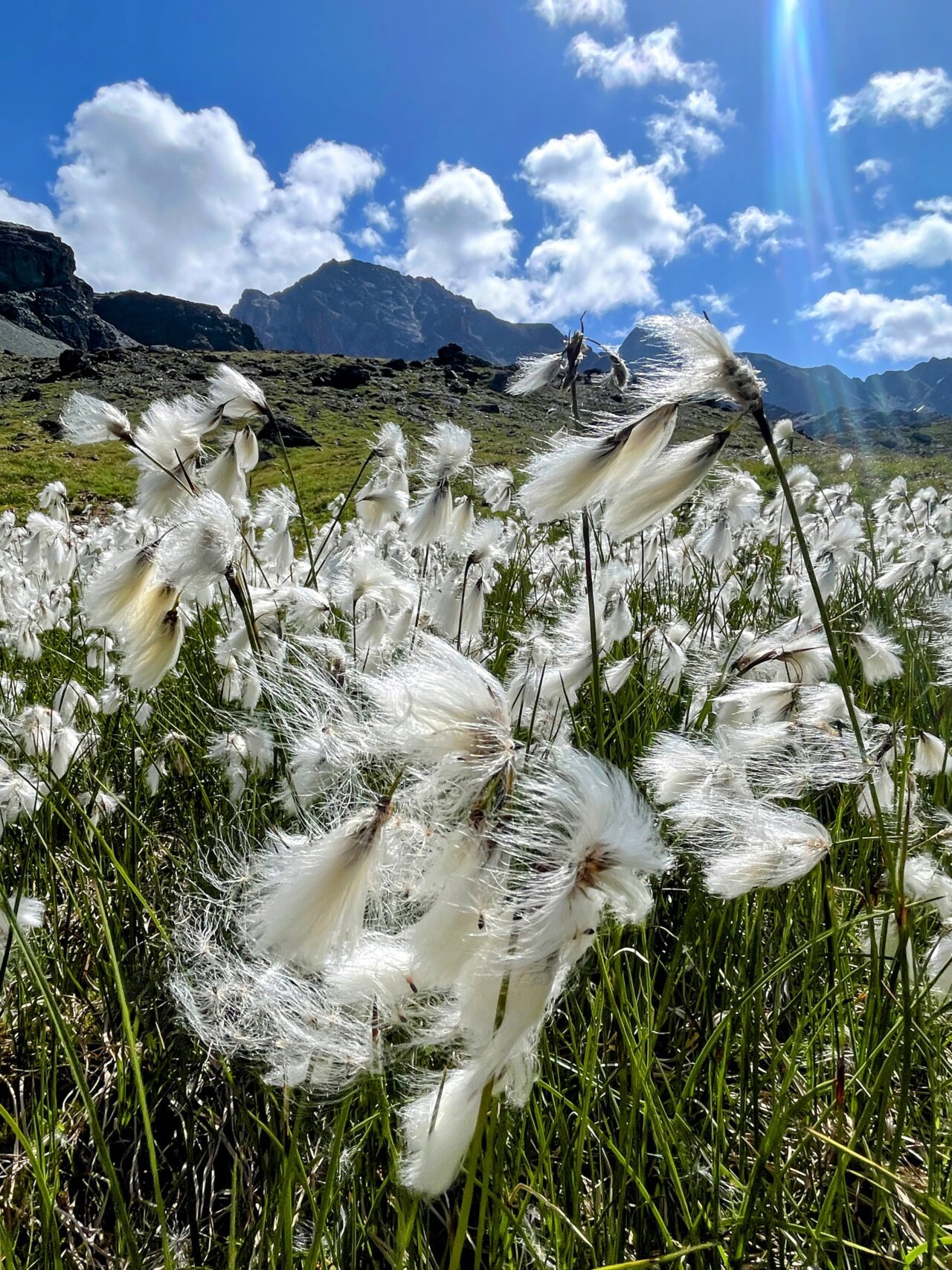 wanderung_parc_ela_trek_alp_flix_alp_d_err_