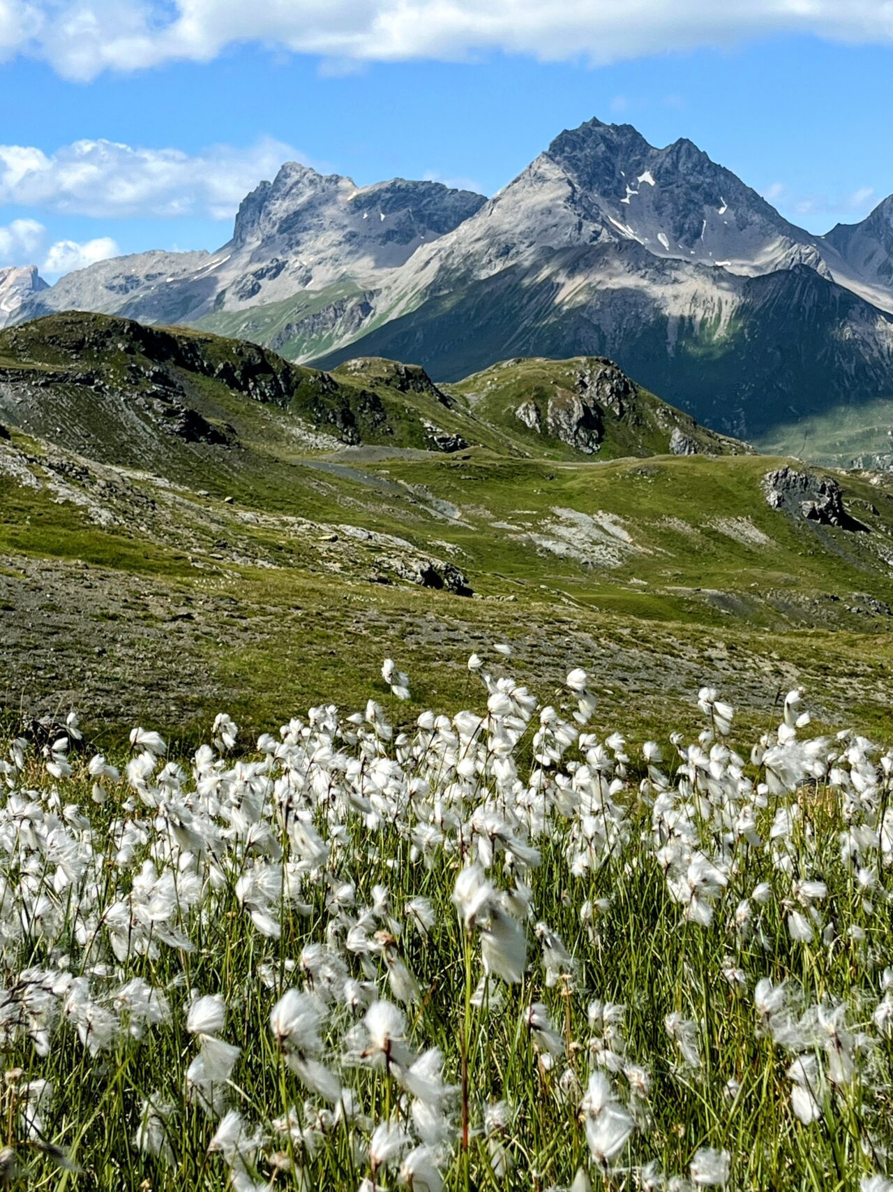 wanderung_parc_ela_trek_alp_flix_alp_d_err_