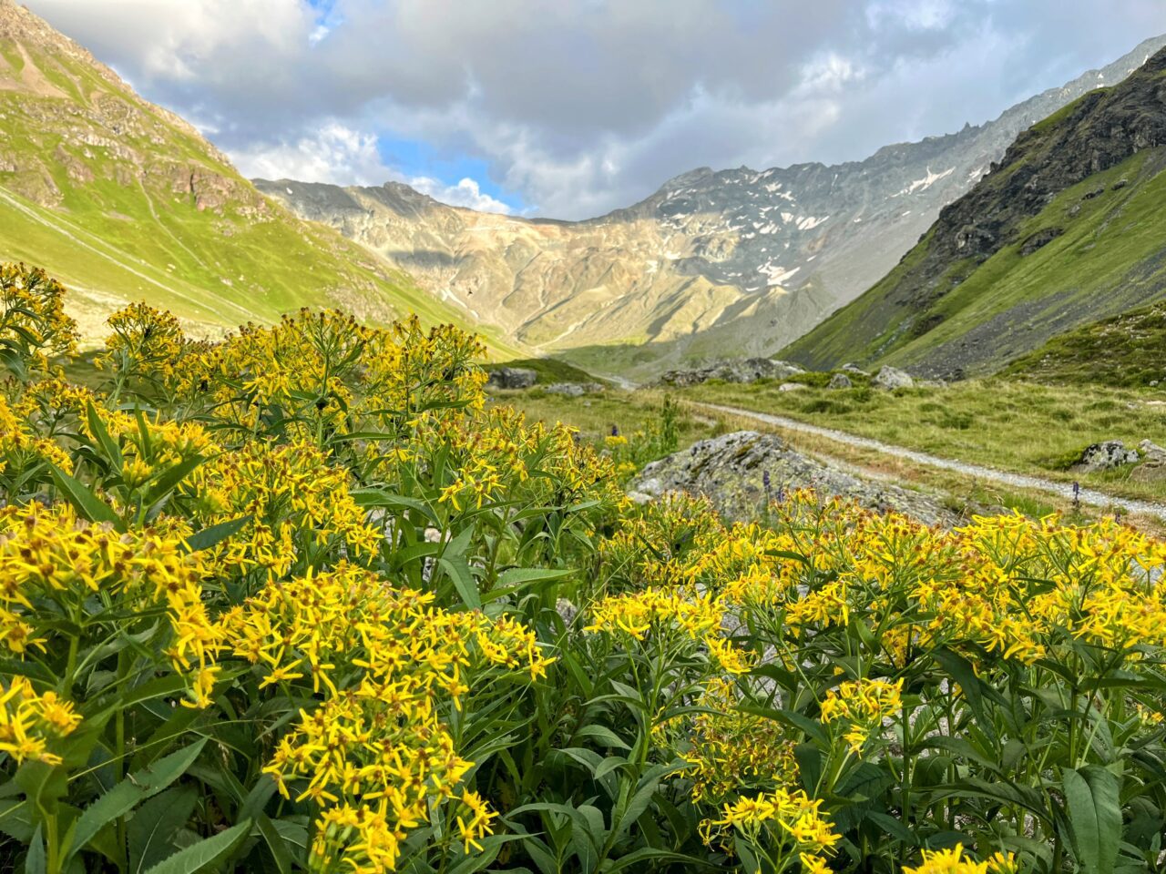 wanderung_parc_ela_trek_alp_flix_alp_d_err_