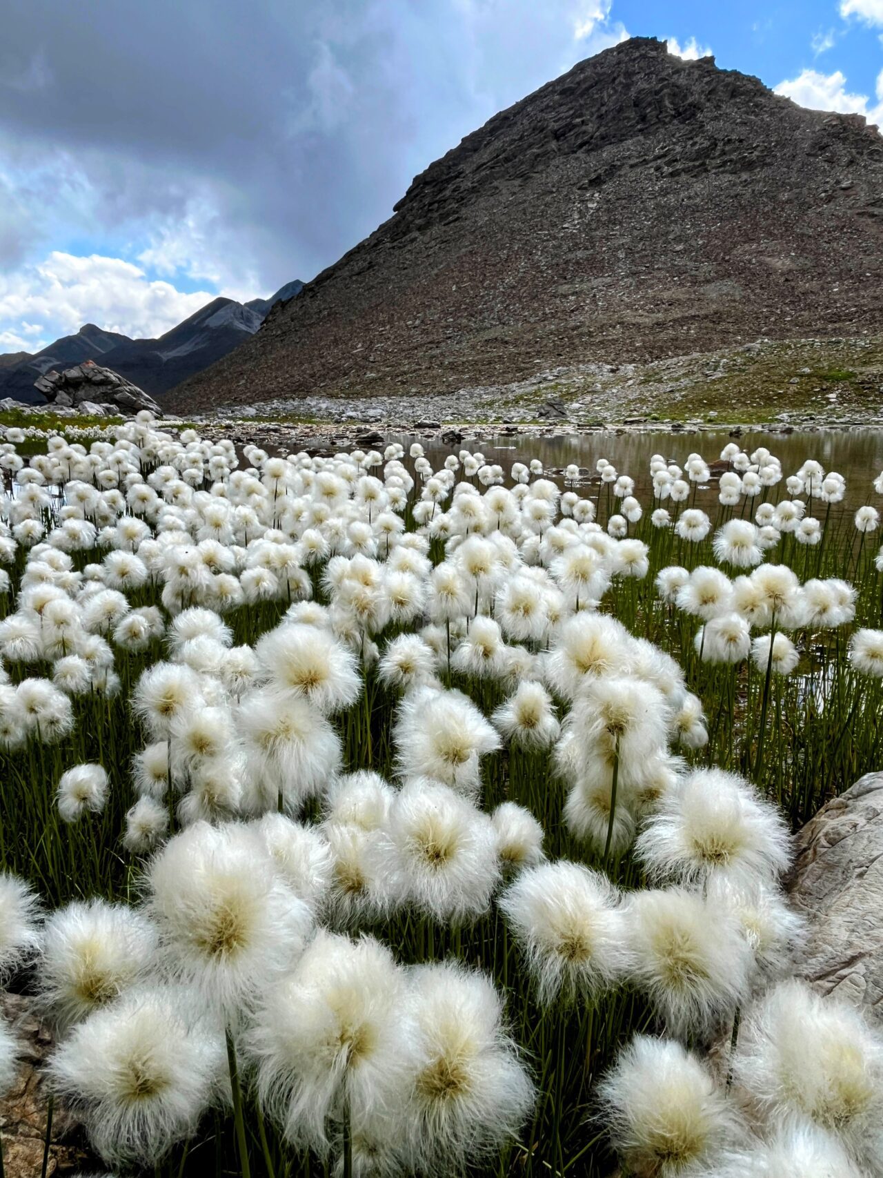 wanderung_parc_ela_trek_tag_3_alp_d_err_elahuette_