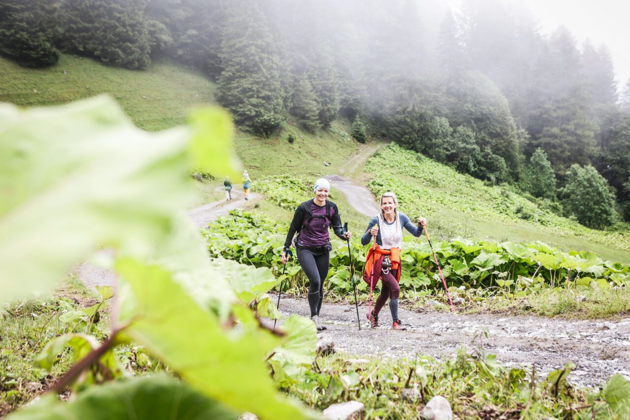 alpin8_everesting_2024_brandnertal_