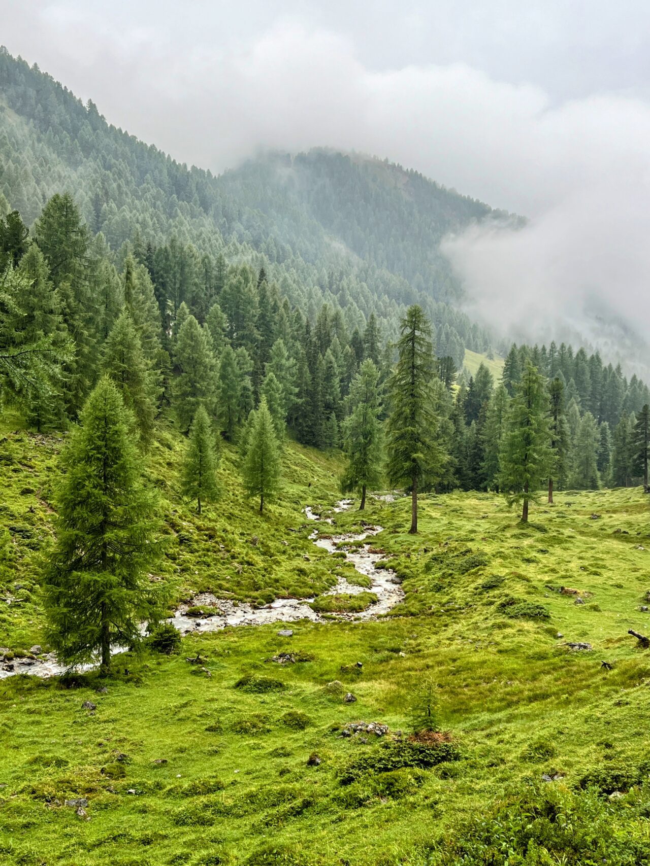 Wanderung_parc_ela_trek_tag_4_elahuette_filisur_