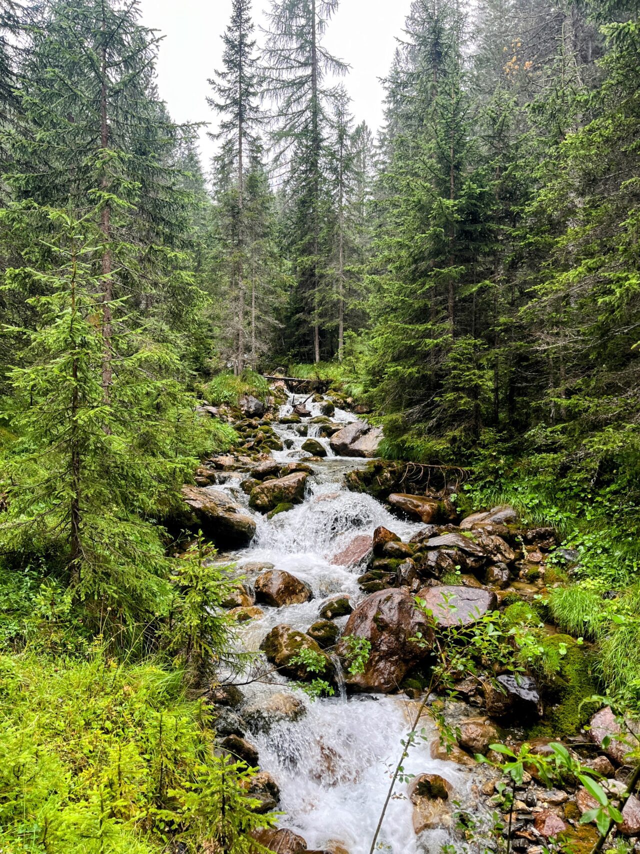 Wanderung_parc_ela_trek_tag_4_elahuette_filisur_