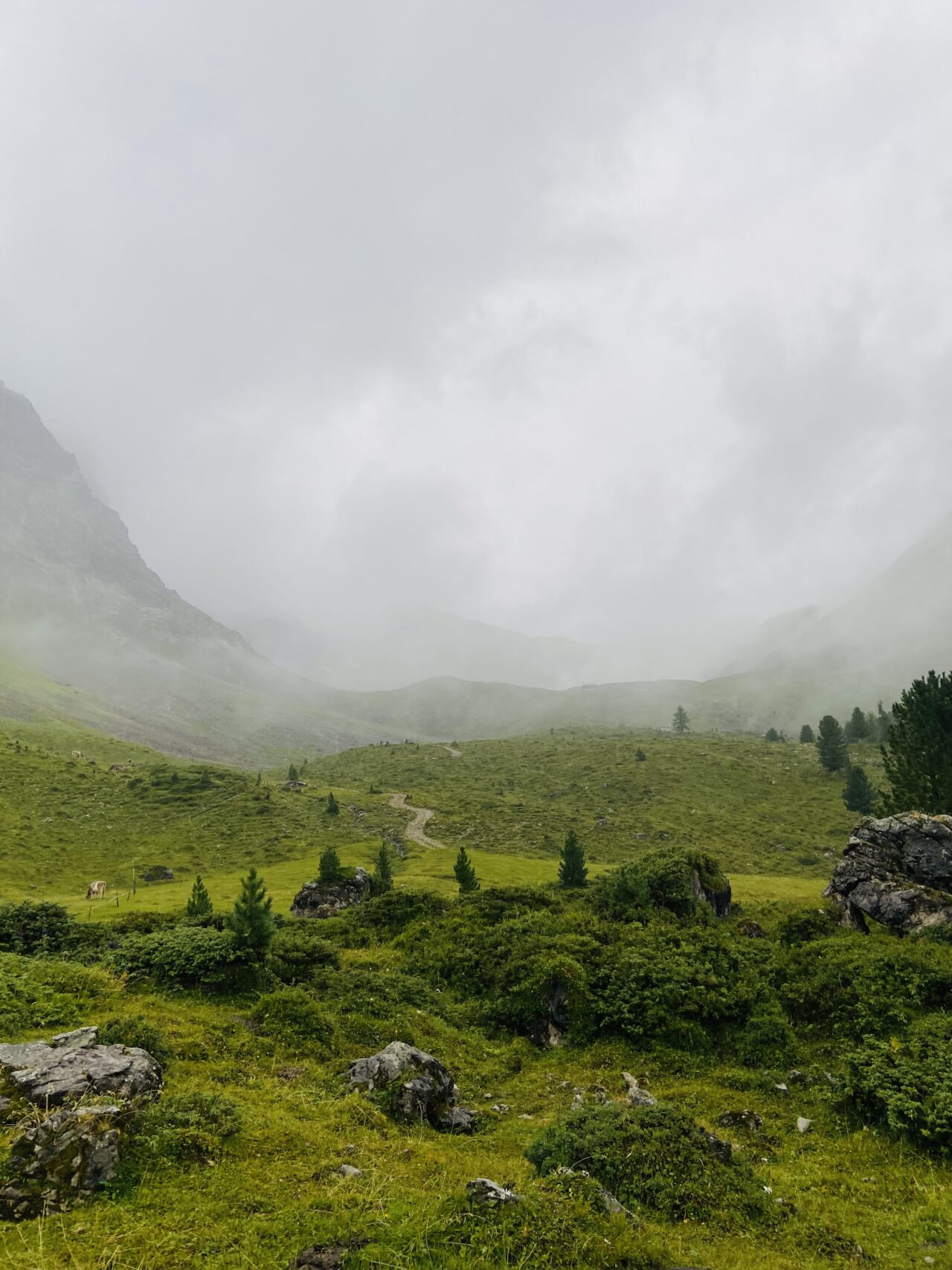 Wanderung_parc_ela_trek_tag_4_elahuette_filisur_