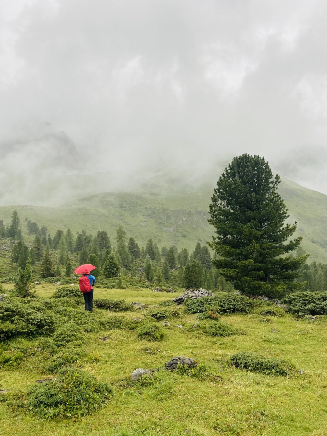 Wanderung_parc_ela_trek_tag_4_elahuette_filisur_