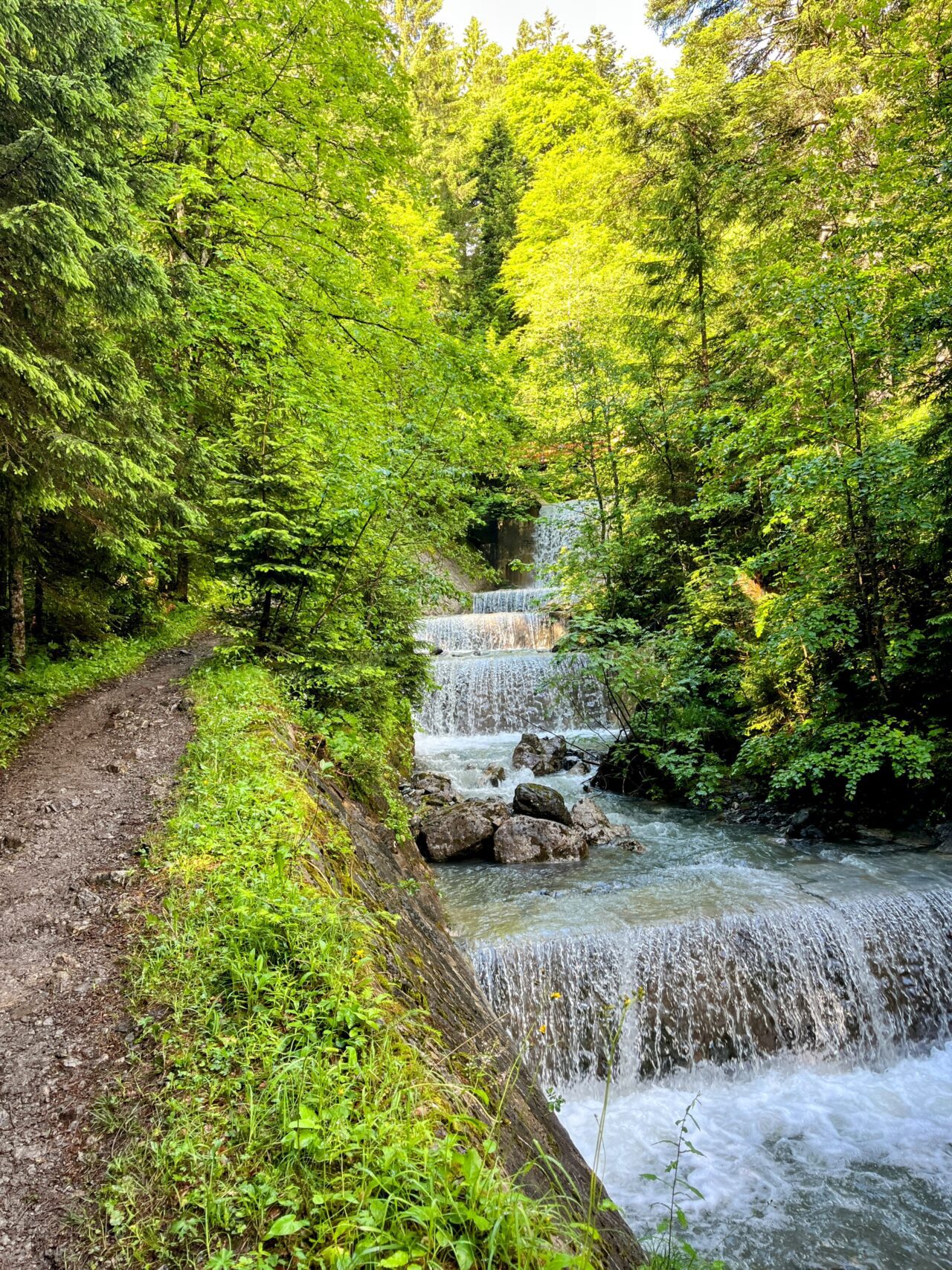 alpin8_everesting_2024_brandnertal_