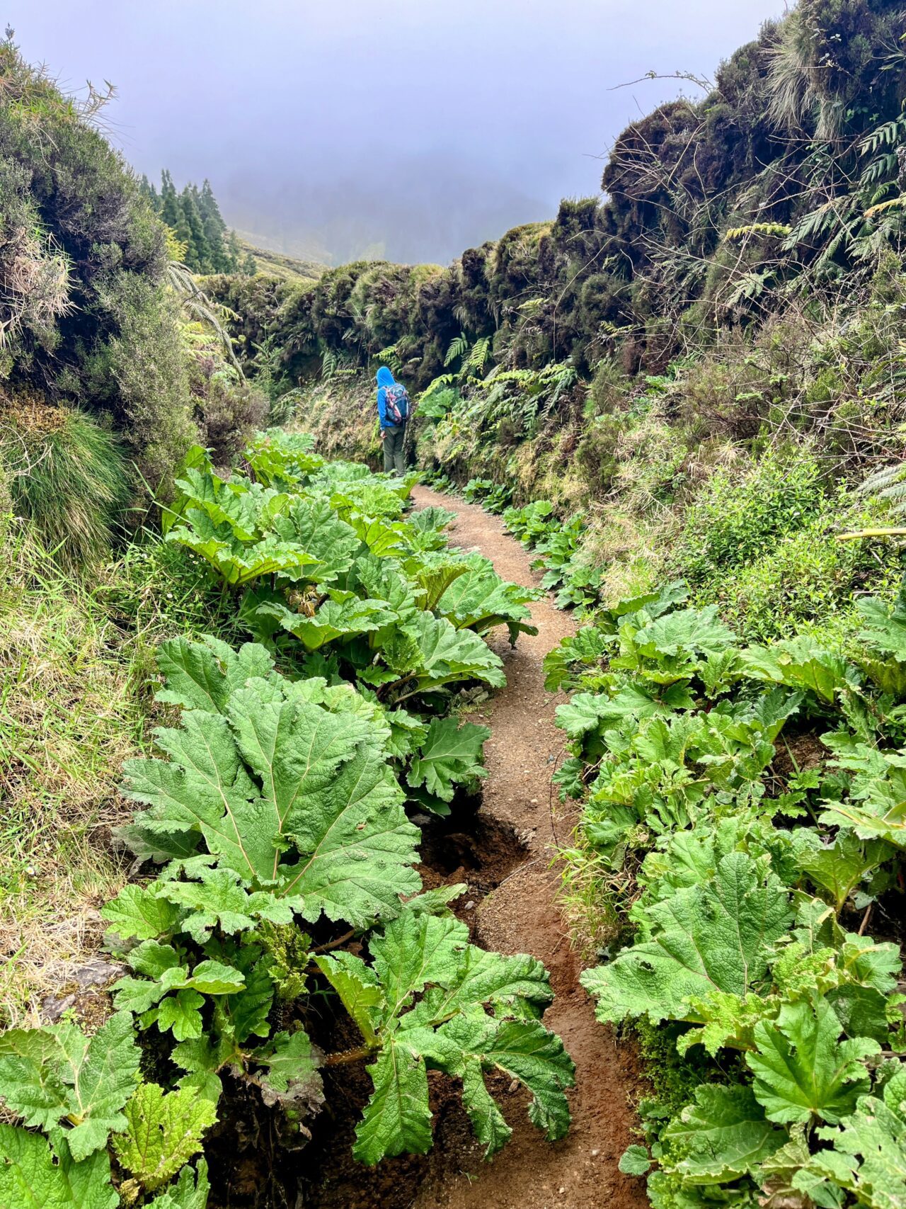 wanderung_caldeiras_das_sete_cidades_lost_place_