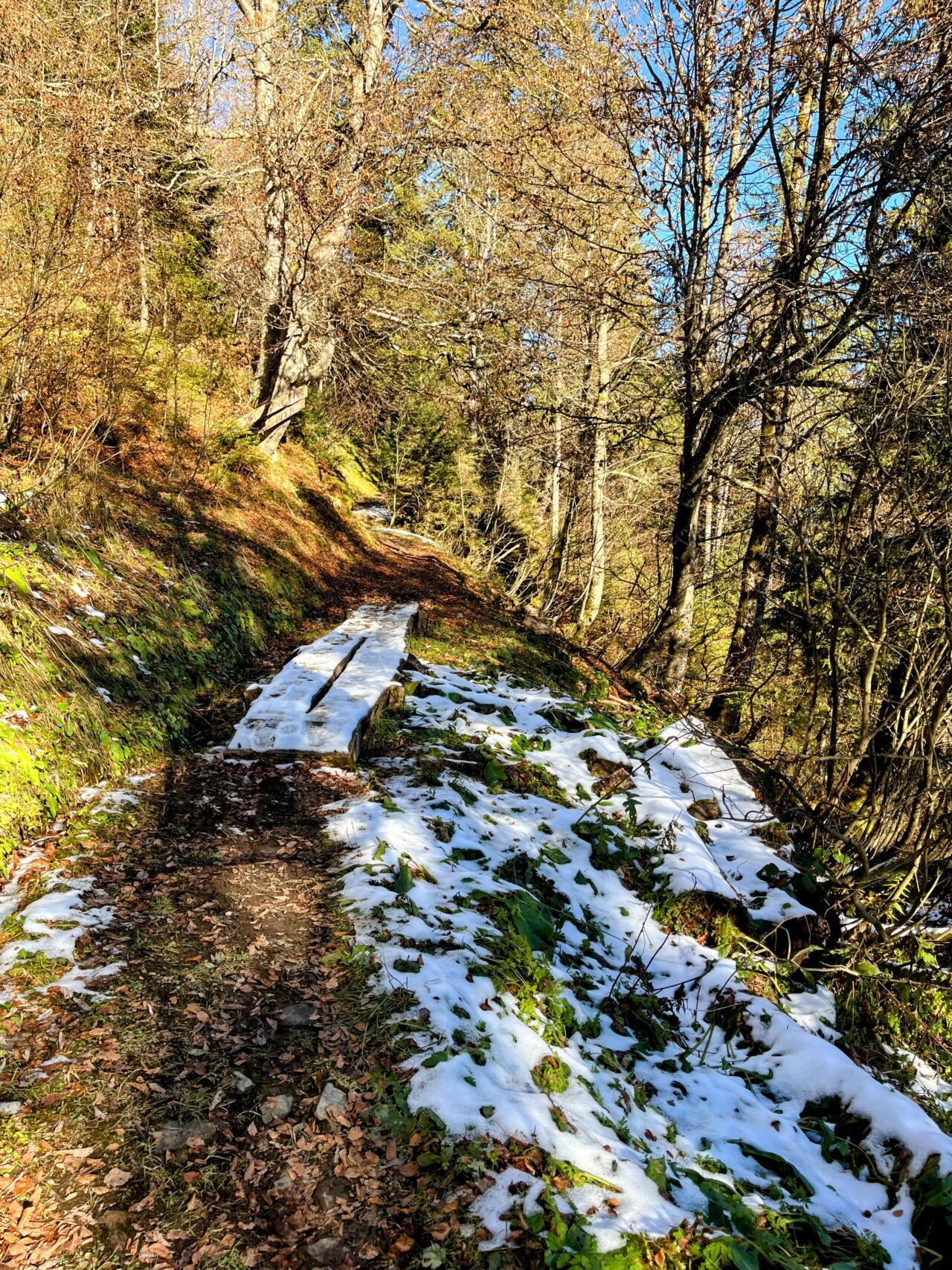 wanderung_oberblegisee_