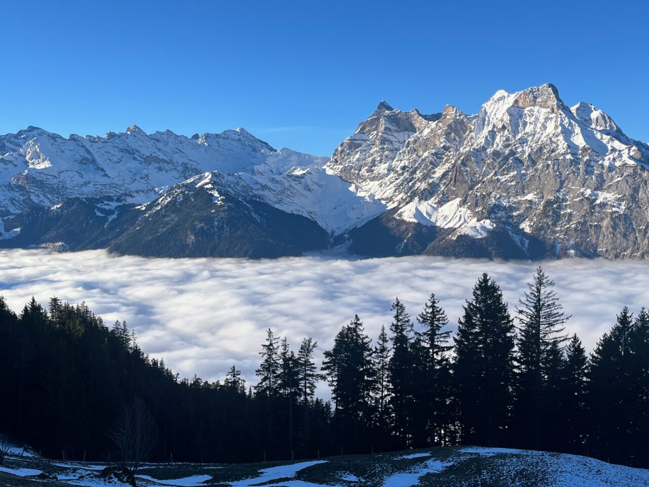 Schneeschuhe_winterwandern_eggberge_hueenderegg_ratzi_