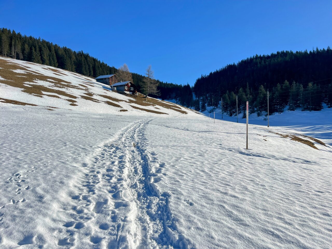 Schneeschuhe_winterwandern_eggberge_hueenderegg_ratzi_