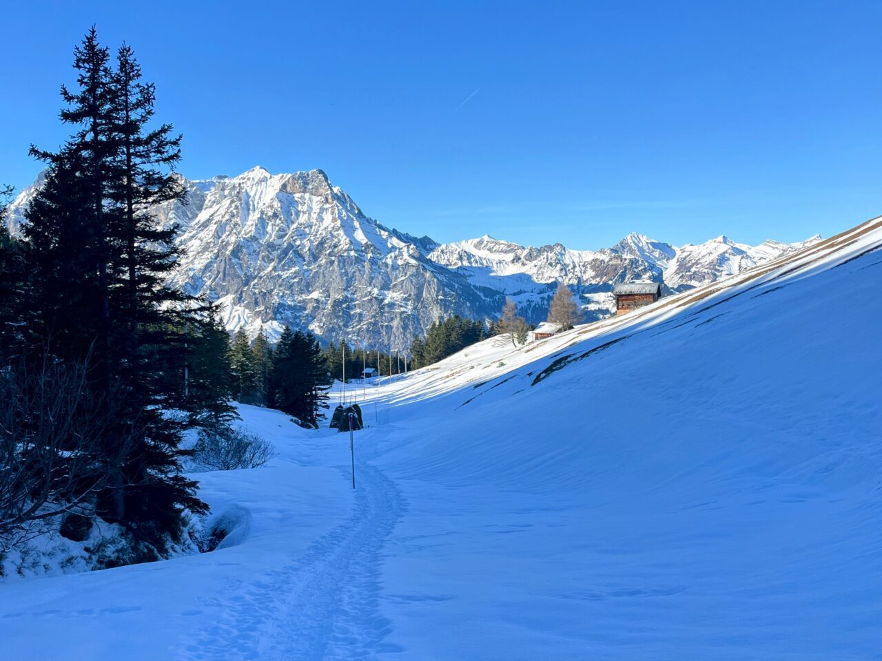 Schneeschuhe_winterwandern_eggberge_hueenderegg_ratzi_