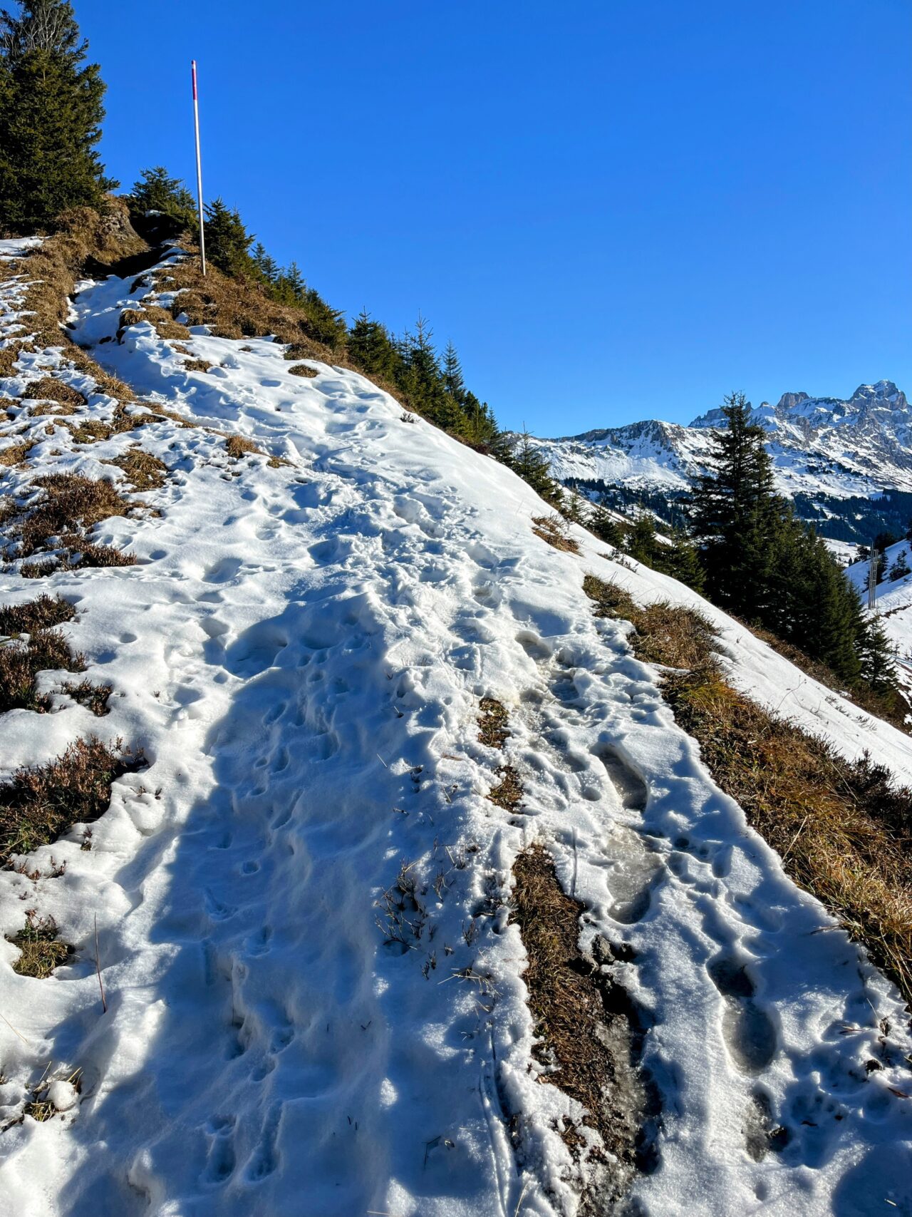 Schneeschuhe_winterwandern_eggberge_hueenderegg_ratzi_