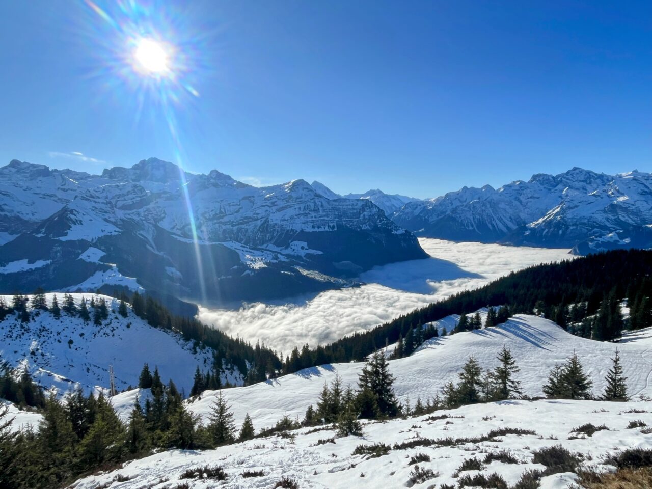 Schneeschuhe_winterwandern_eggberge_hueenderegg_ratzi_