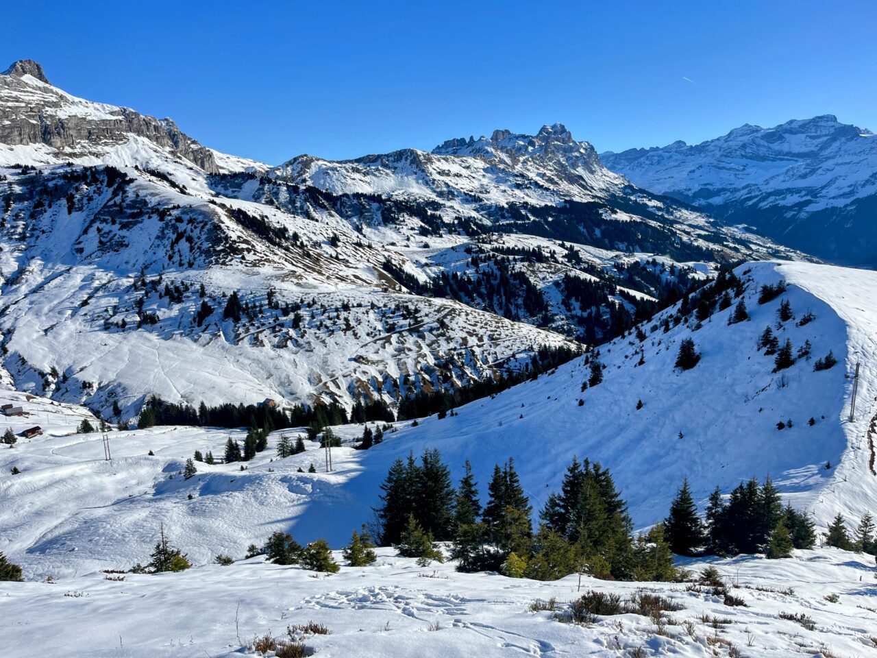 Schneeschuhe_winterwandern_eggberge_hueenderegg_ratzi_