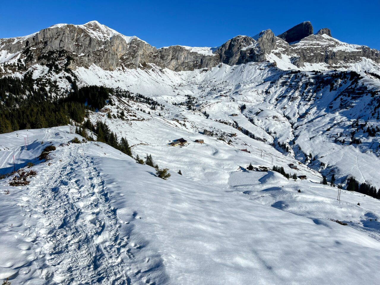 Schneeschuhe_winterwandern_eggberge_hueenderegg_ratzi_