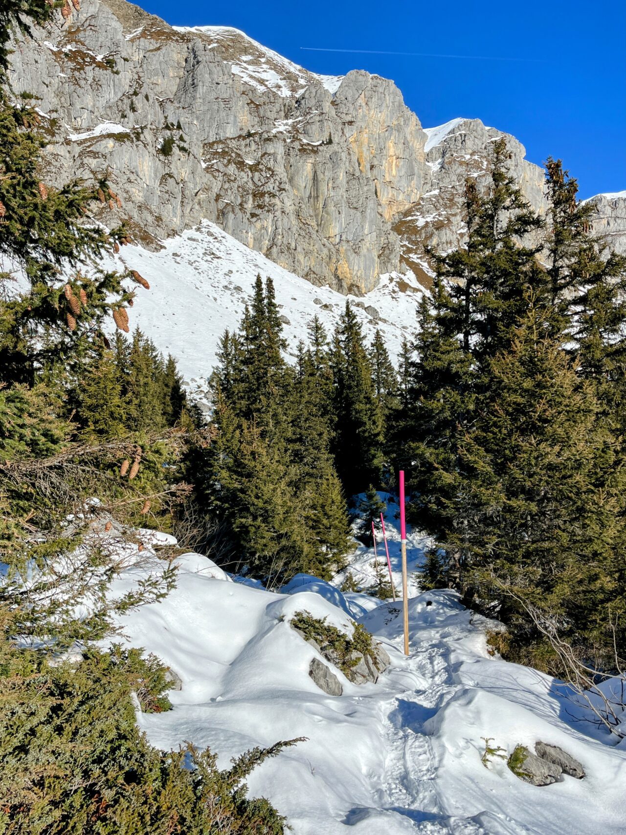 Schneeschuhe_winterwandern_eggberge_hueenderegg_ratzi_