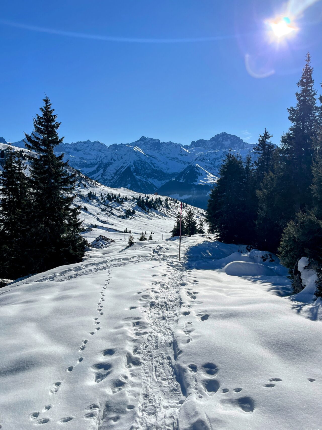 Schneeschuhe_winterwandern_eggberge_hueenderegg_ratzi_