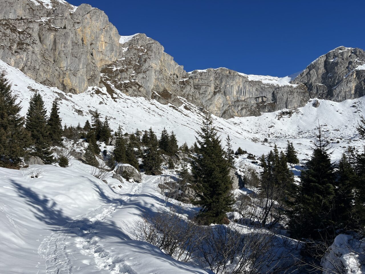 Schneeschuhe_winterwandern_eggberge_hueenderegg_ratzi_