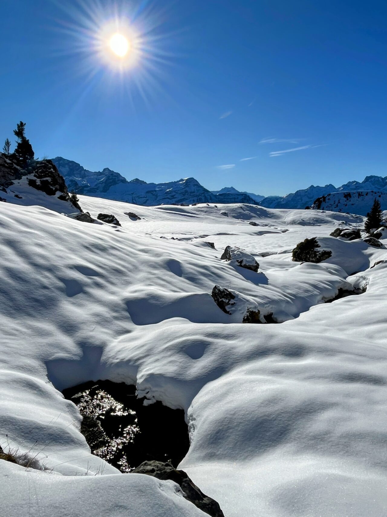 Schneeschuhe_winterwandern_eggberge_hueenderegg_ratzi_