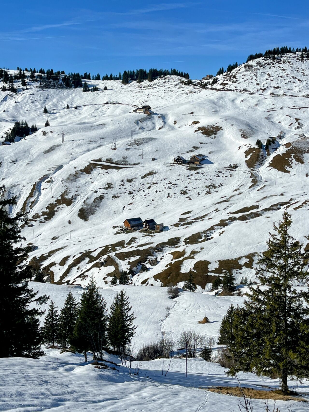 Schneeschuhe_winterwandern_eggberge_hueenderegg_ratzi_