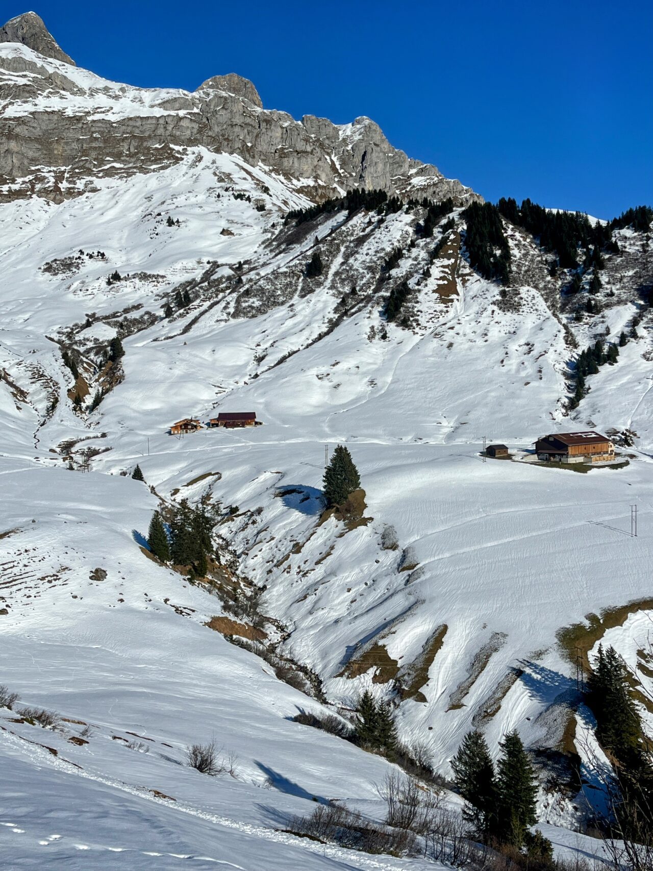 Schneeschuhe_winterwandern_eggberge_hueenderegg_ratzi_