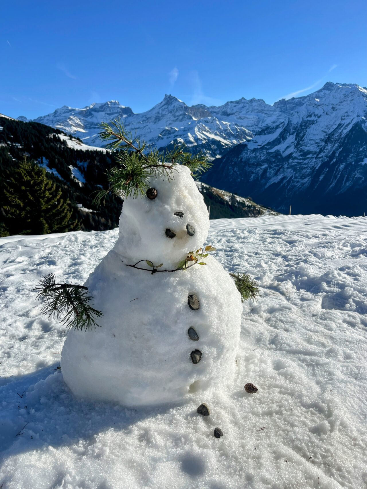 Schneeschuhe_winterwandern_eggberge_hueenderegg_ratzi_