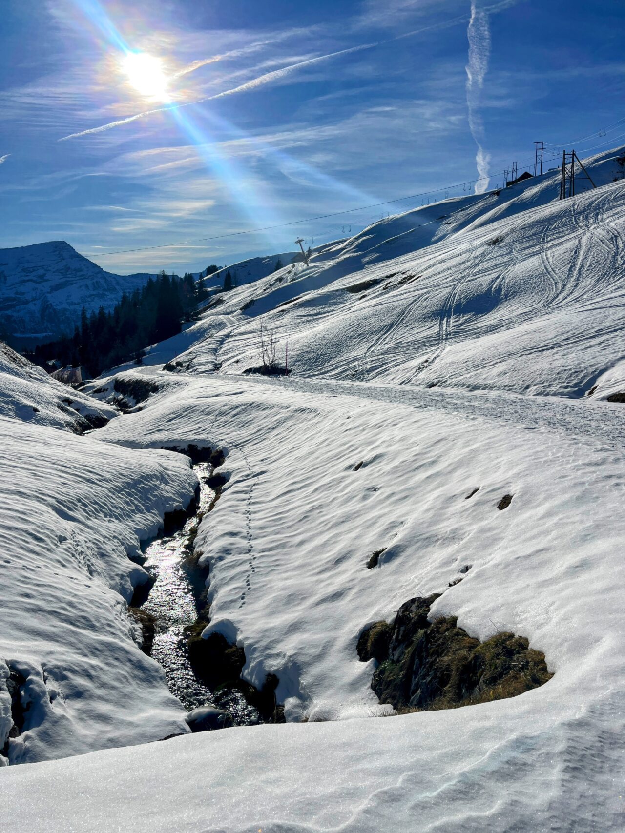 Schneeschuhe_winterwandern_eggberge_hueenderegg_ratzi_